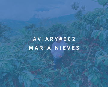 002 - Maria Nieves