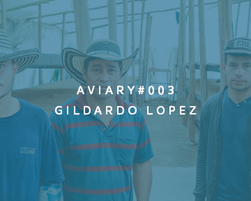 003 - Gildardo Lopez